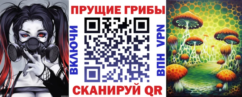 Галлюциногенные грибы мицелий  Южа 